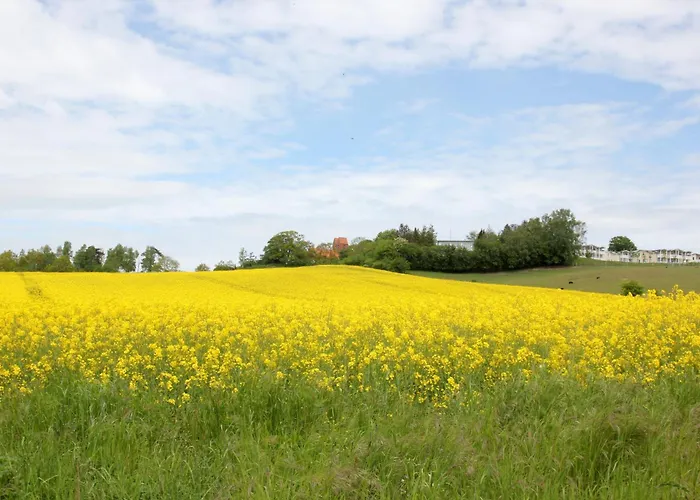 Mit Meerblick Und Balkon, Gratis Nutzung Vom Ahoi Erlebnisbad Und Sauna In Sellin - Meeresblick 26 Apartman *
